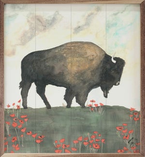 Buffalo In Poppies By Jodi Hatfield